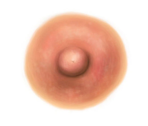 Tan Nipple Temporary Tattoo (L)