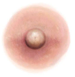 Tan Nipple Temporary Tattoo (S)