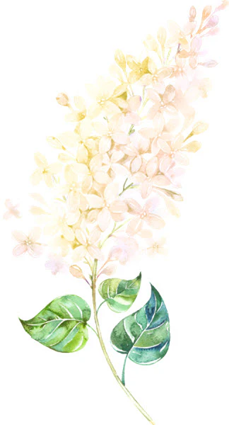 Tender Watercolor Flower Tattoo