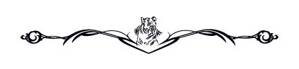 Tiger Band Tattoo