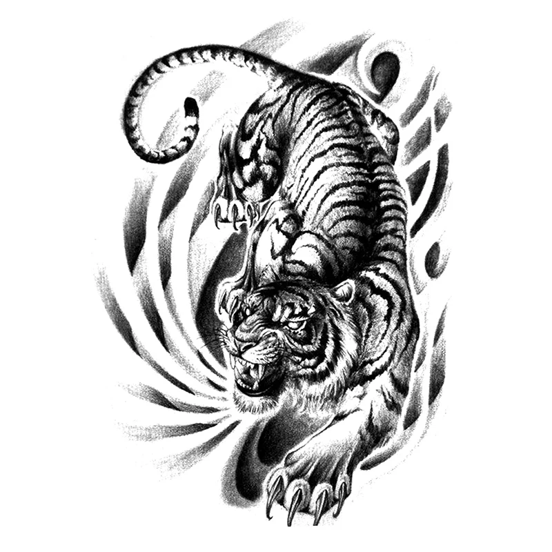 Tiger XXL