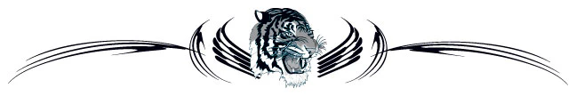Tribal Tiger Band Tattoo