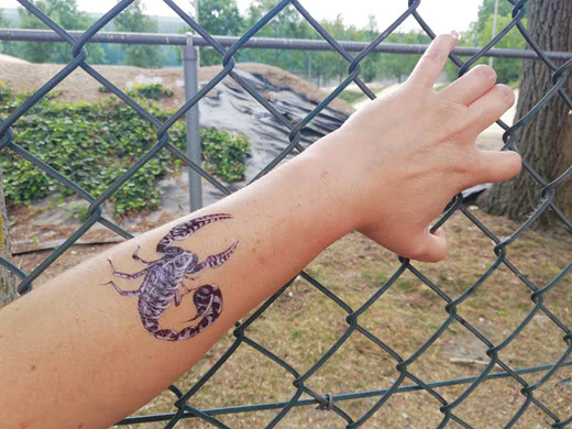 Tribal Tiger Scorpion Tattoo - Image 2