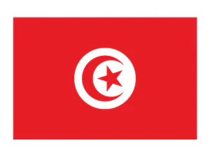 Tunisia Flag Tattoo