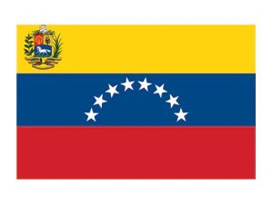 Venezuela Flag Tattoo