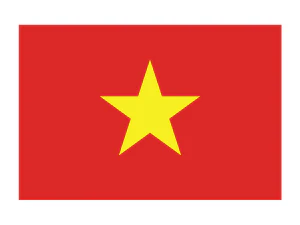 Vietnam Flag Tattoo