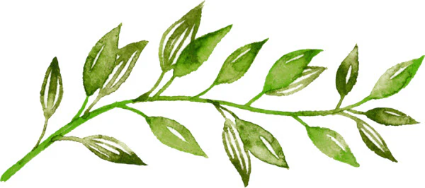 Watercolor Leaves Tattoo