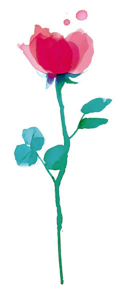 Watercolor Rose - Tattoonie