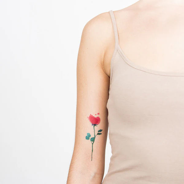 Watercolor Rose - Tattoonie - Image 3