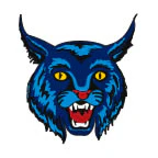 Wild Cat Tattoo