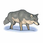 Wolf Tattoo